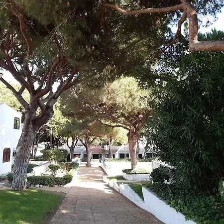 Estudio Praia Da Falesia